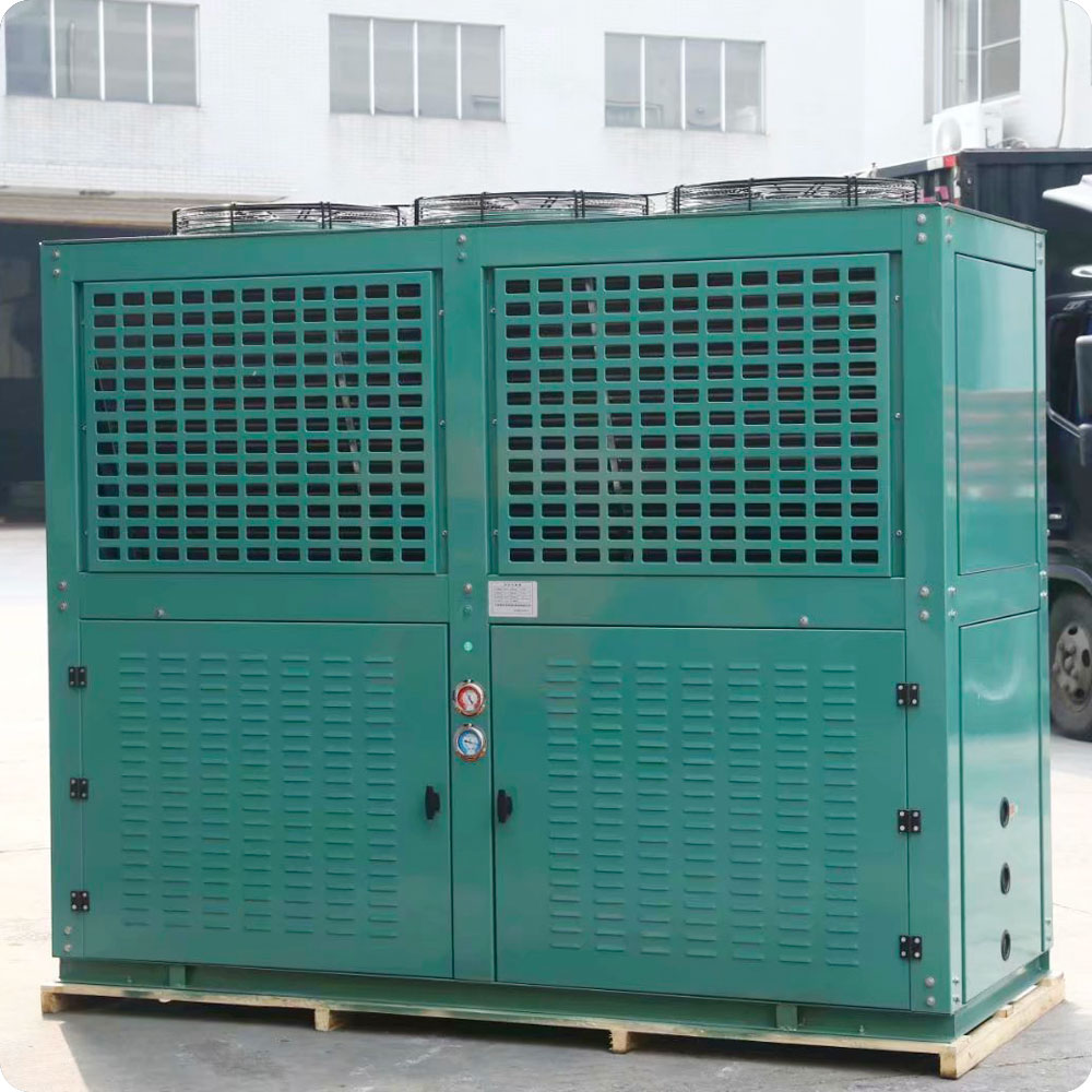 Cold Storage Room Box Type Air Cooled Condensing Compressor Unit