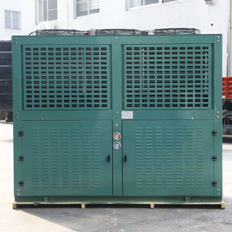 Walk in Cooler Compressor Unit Box Type Refrigeration Unit with Condenser