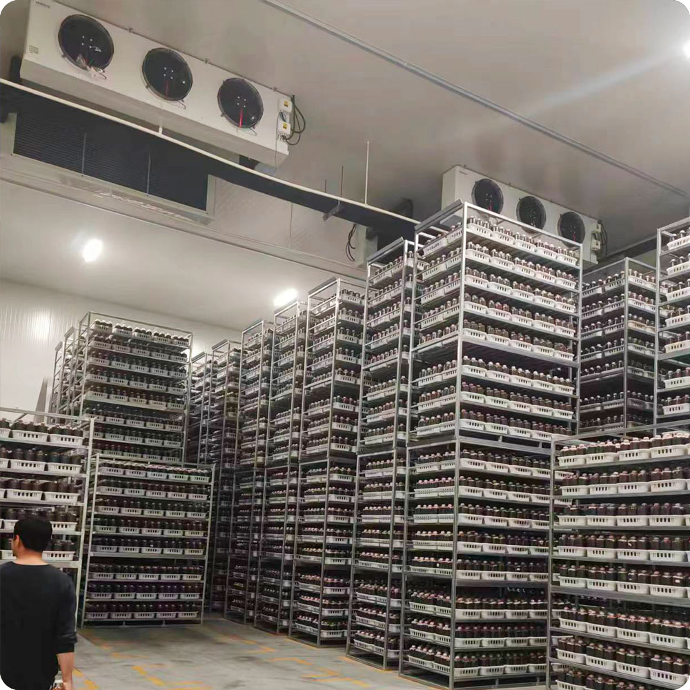 Cold room for mushroom cultivation