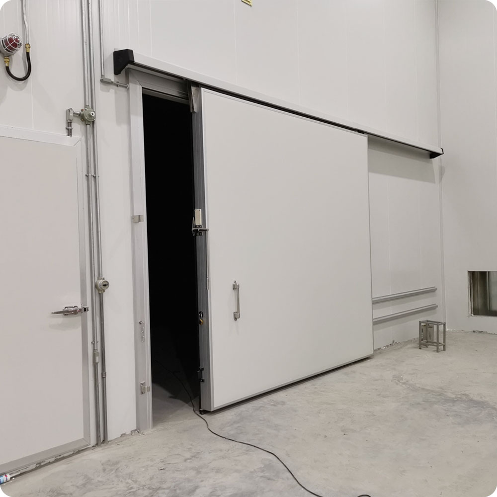 Manual/Eelectric Cold Room Sliding Door Walk in Freezer Door for Food Factory