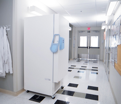 Laboratory cold storage in temperature stability 