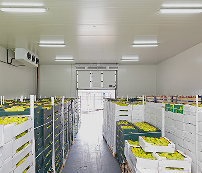 The cold room sliding doors suit food process and cold storage distribution