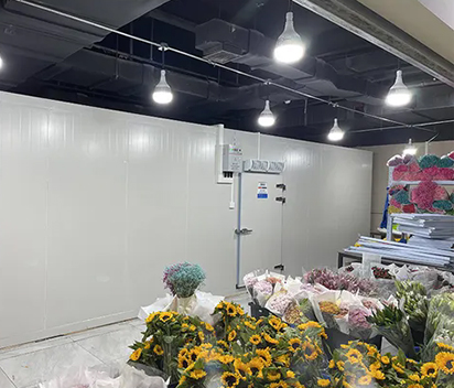 Cold Room Refrigeration Units for Agricultural and Floral Products